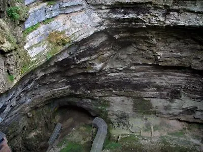 Au Petit Bois Magique Daire Payrac